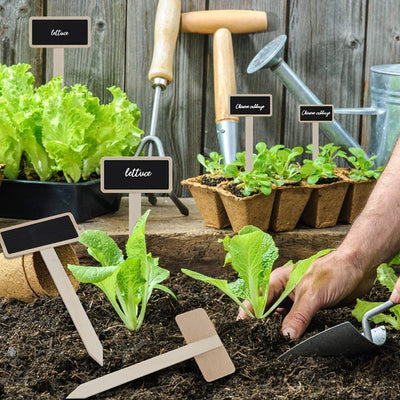 Mini Plant Labels Wooden Chalkboard Blackboard Markers For Flower Pot Seed Potted Herbs Vegetables