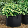 1-10 Gallon Grow Bags Felt Plant Grow Pot Potato Tomato Planting Bag Garden Vegetables Plant Bags Fabric Flower Pots