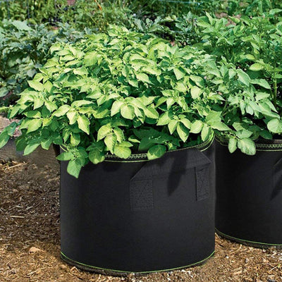 1-10 Gallon Grow Bags Felt Plant Grow Pot Potato Tomato Planting Bag Garden Vegetables Plant Bags Fabric Flower Pots