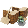 T-Type Bamboo Plant Labels Eco-Friendly Wooden Plant Sign Tags