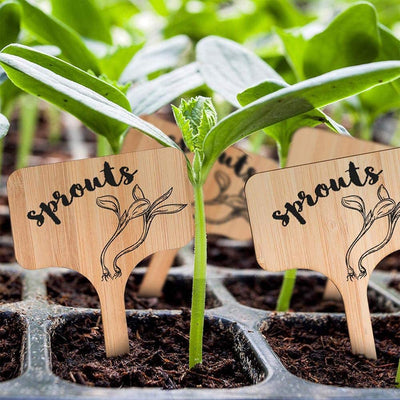 T-Type Bamboo Plant Labels Eco-Friendly Wooden Plant Sign Tags