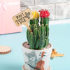 T-Type Bamboo Plant Labels Eco-Friendly Wooden Plant Sign Tags