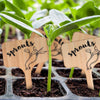 T-Type Bamboo Plant Labels Eco-Friendly Wooden Plant Sign Tags