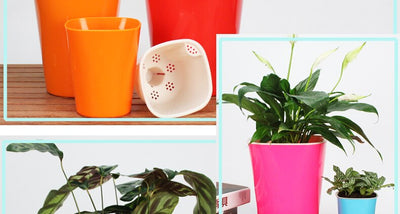 Automatic Self Watering Flower Pot Indoor Flower Decor Pots 3 Sizes