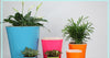 Automatic Self Watering Flower Pot Indoor Flower Decor Pots 3 Sizes