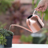 500/1000ML Watering Pot Stainless Steel Long Mouth Green Plant Watering Can Golden Watering Kettle