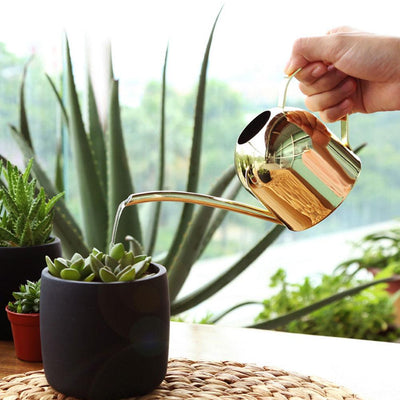 500/1000ML Watering Pot Stainless Steel Long Mouth Green Plant Watering Can Golden Watering Kettle