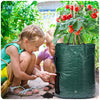 Vegetable Planter Growing Bag  1-12 Gallons