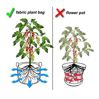 1-10 Gallon Grow Bags Felt Plant Grow Pot Potato Tomato Planting Bag Garden Vegetables Plant Bags Fabric Flower Pots