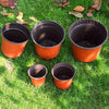 50/20pcs Plastic Flowerpots Transplant Flower Pot Gardening Plant