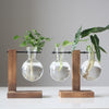 Terrarium Plant Vases Hydroponic Vintage Glass Flower Pot