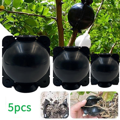 5pcs Plant Rooting Ball Garden Grafting Box Sapling