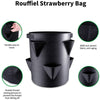 Spring Strawberry Growing Bag Vegetable Planter