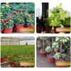 50/20pcs Plastic Flowerpots Transplant Flower Pot Gardening Plant