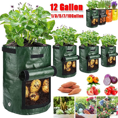 Vegetable Planter Growing Bag  1-12 Gallons