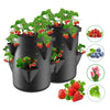 Spring Strawberry Growing Bag Vegetable Planter