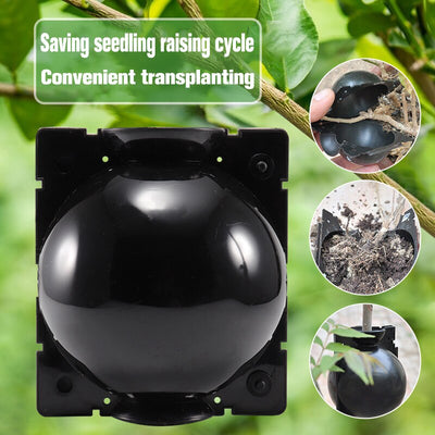 5pcs Plant Rooting Ball Garden Grafting Box Sapling