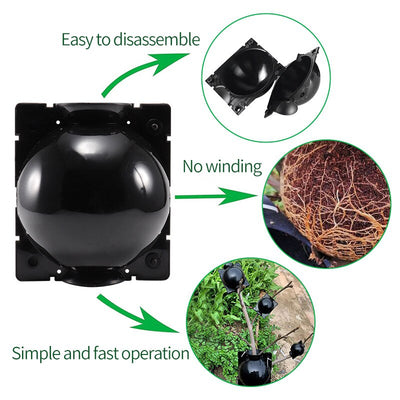 5pcs Plant Rooting Ball Garden Grafting Box Sapling