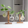 Terrarium Plant Vases Hydroponic Vintage Glass Flower Pot