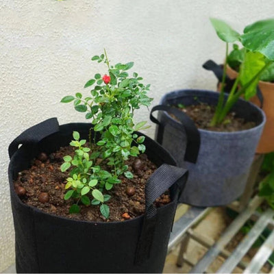 Fabric Plant Growing Bag With Handles