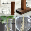 Terrarium Plant Vases Hydroponic Vintage Glass Flower Pot