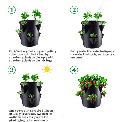 Spring Strawberry Growing Bag Vegetable Planter