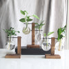 Terrarium Plant Vases Hydroponic Vintage Glass Flower Pot